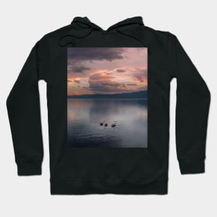 Pink Swans Hoodie